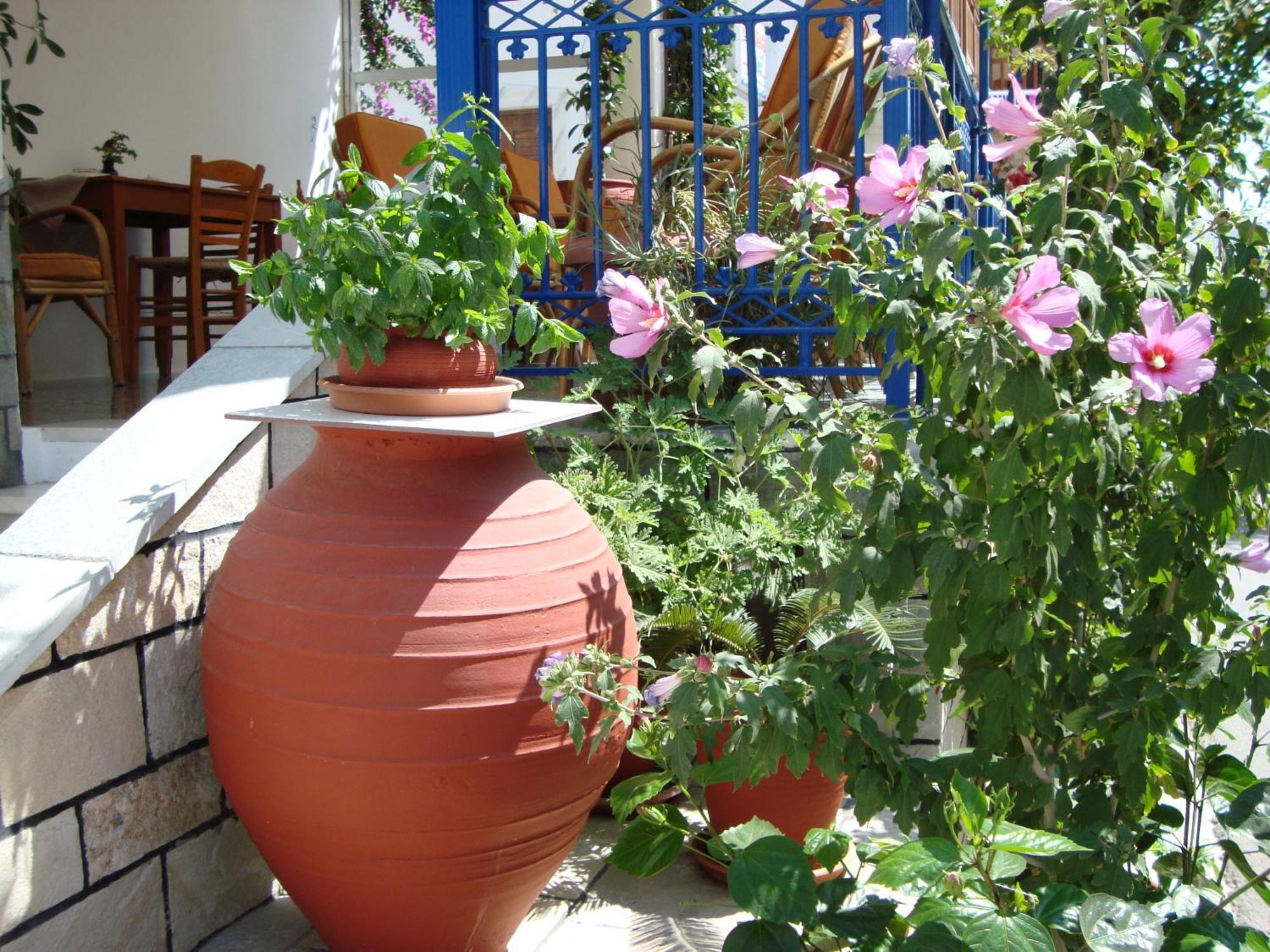 Hotel Vakhos Naxos City Zewnętrze zdjęcie